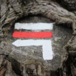 Photo Image: Wind direction