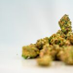 Photo Cannabis buds